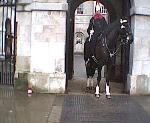 Horseguards at Buck House